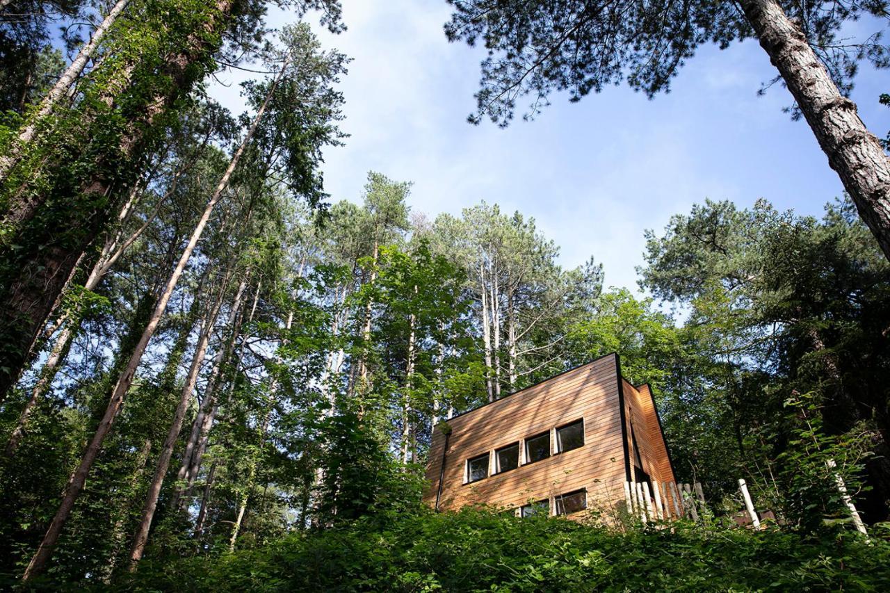 Bain De Foret - Lodges Cosy & Spa Нёфшатель-Ардло Экстерьер фото