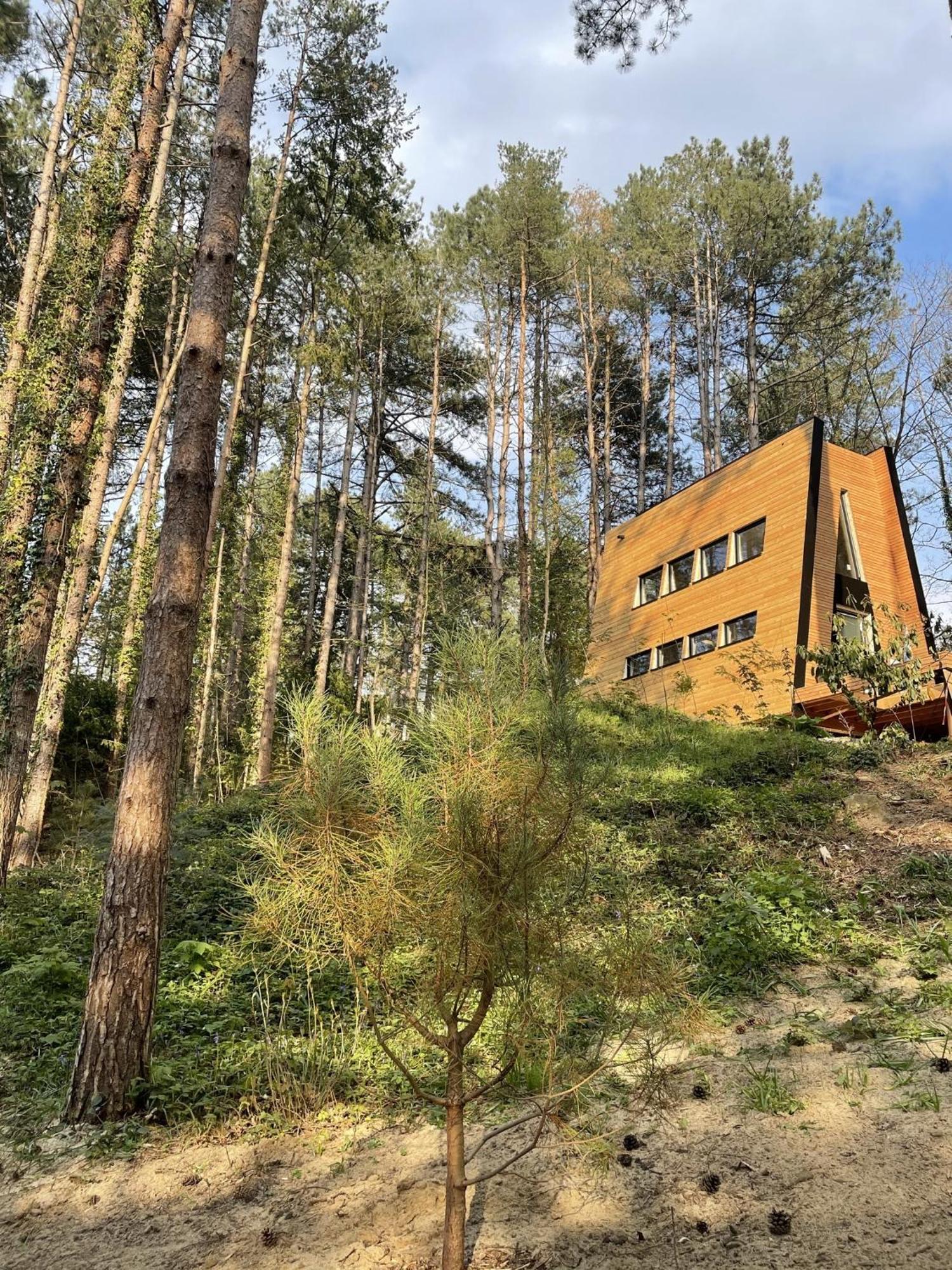 Bain De Foret - Lodges Cosy & Spa Нёфшатель-Ардло Номер фото